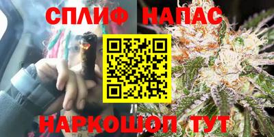 ECSTASY Балахна