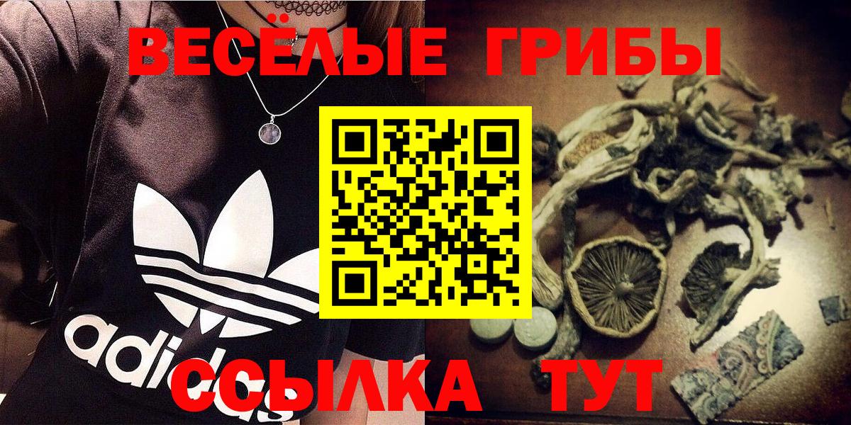 Гай  Галлюциногенные грибы мухоморы  Вход с VPN  Псилоцибиновые грибы Psilocybine cubensis 